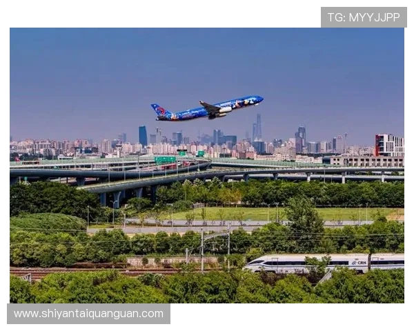 亚星国际上海：全面解析其在上海网络游戏行业的市场布局与发展前景